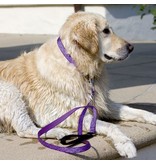 Lupine Lupine Originals 1/2" Leash | Tail Feathers 6'