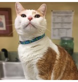 Lupine Lupine Cat Safety Collar | Tail Feathers