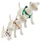 Lupine Lupine Originals 3/4" Step-In Dog Harness | Tail Feathers 20"-30"