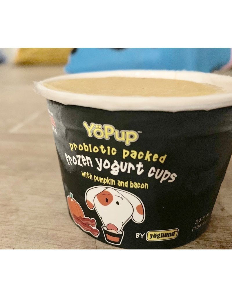 Yoghund Yoghund Frozen Yogurt for Dogs Pumpkin & Bacon 4 pack / 3.5 oz cups (*Frozen Products for Local Delivery or In-Store Pickup Only. *)
