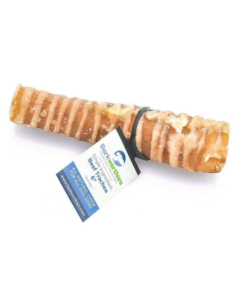 Barkworthies Barkworthies Beef Trachea 6 in single