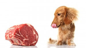 VIDEO: Pet Food Trends - Kristine Hefner, Wholesome Pet
