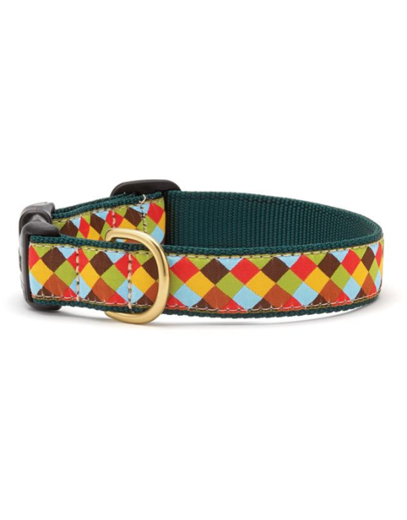 Up country dog collar Clearance