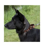 Lupine Lupine Originals 3/4" Martingale Dog Collar | Dapper Dog 10"-14"
