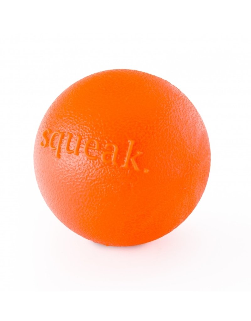 planet dog ball