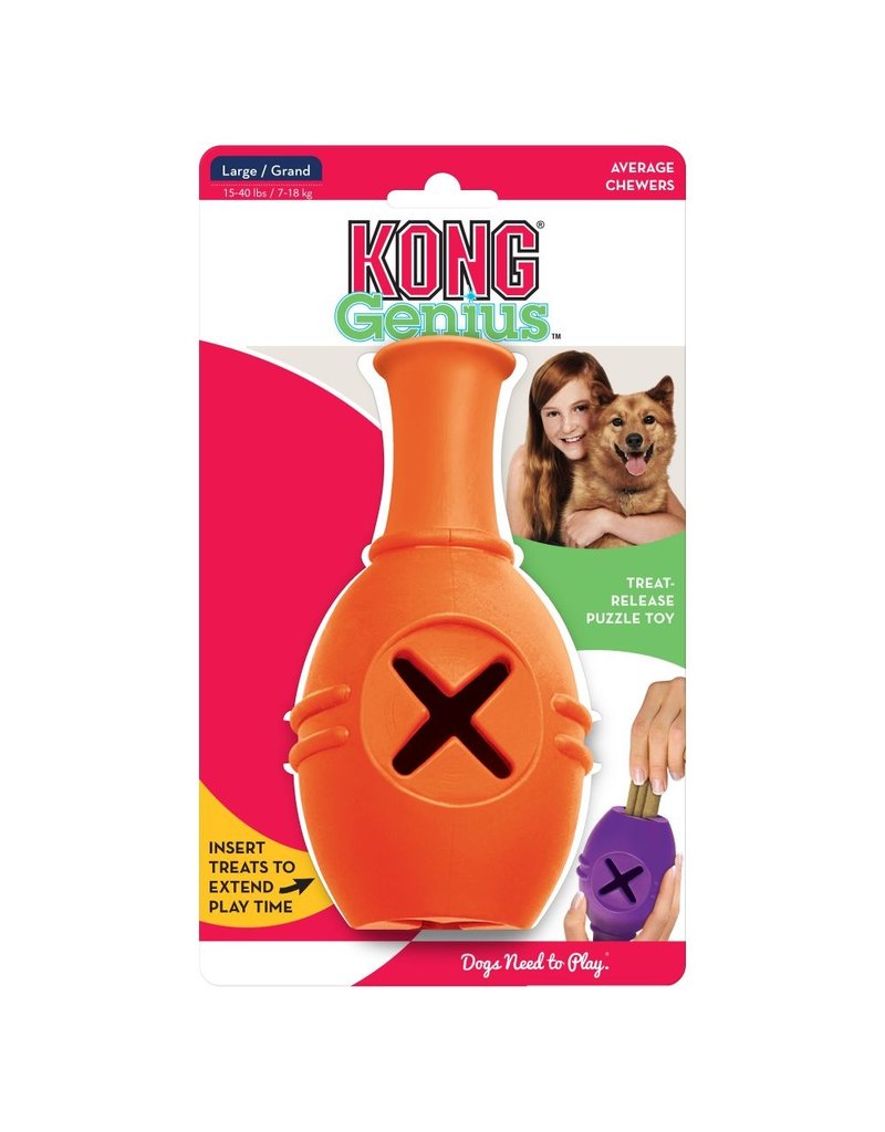 kong chew toys for puppies