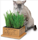 SmartCat SmartCat Kitty Garden Grass Box
