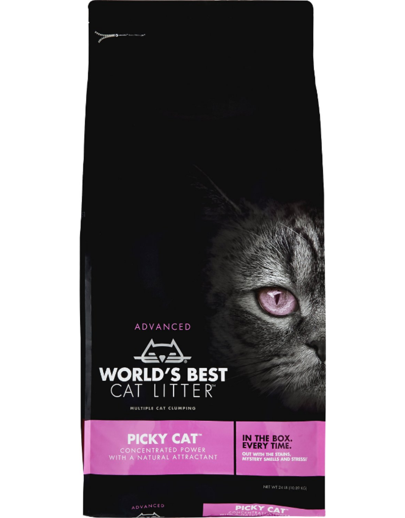 the world's best litter