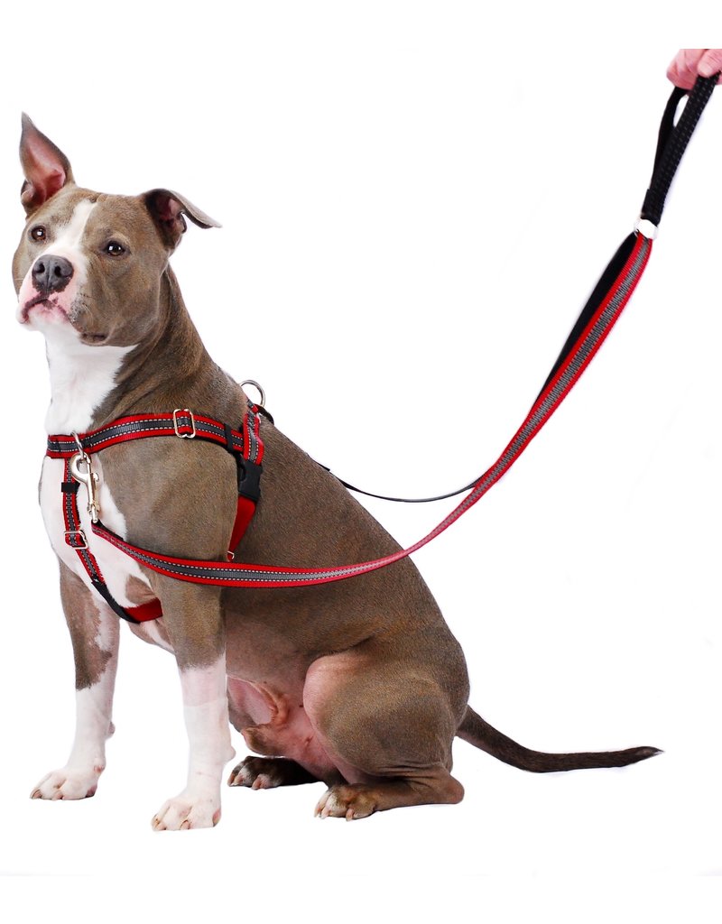 2 Hounds Design 2 Hounds Design Freedom No-Pull 1" Harness | Reflective Red Medium