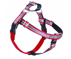 two hound design harness