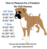 2 hounds Design 2 Hounds Design Freedom No-Pull Harness 1" Reflective Red Extra Large (XL)