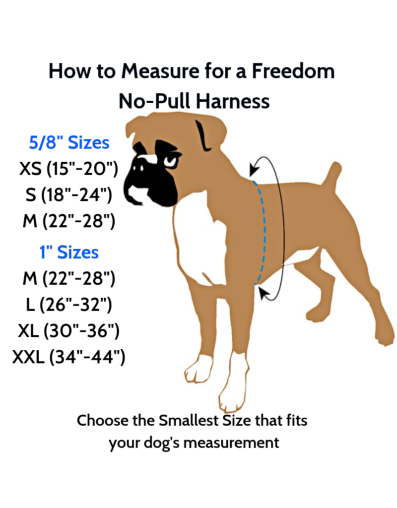 2 Hounds Design 2 Hounds Design Freedom No-Pull 1" Harness | Black Medium