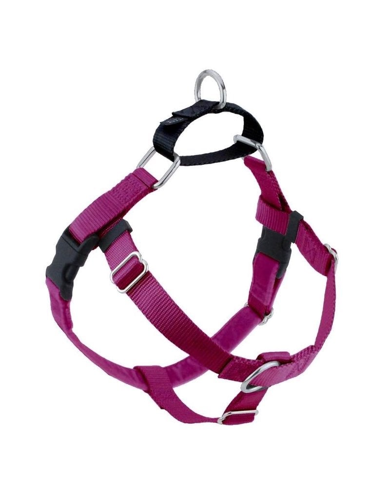 2 Hounds Design 2 Hounds Design Freedom No-Pull 1" Harness | Raspberry Medium