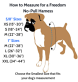 2 Hounds Design 2 Hounds Design Freedom No-Pull 1" Harness | Raspberry Medium