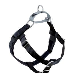 2 Hounds Design 2 Hounds Design Classic | Large 1" Freedom Harness & Leash - Black