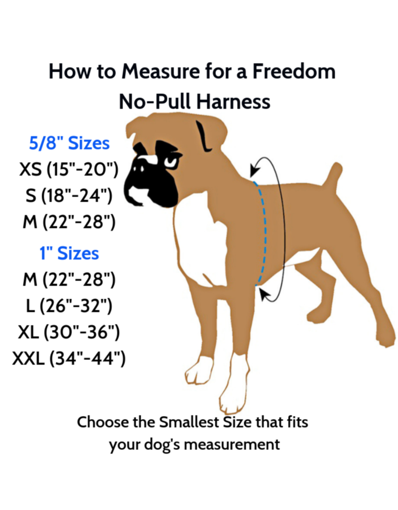 2 hounds Design 2 Hounds Design Freedom No-Pull 1" Harness Black Extra Large (XL)