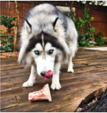 Primal Pet Foods Primal Frozen Raw Meaty Bones Beef Marrow Bone Large (*Frozen Products for Local Delivery or In-Store Pickup Only. *)