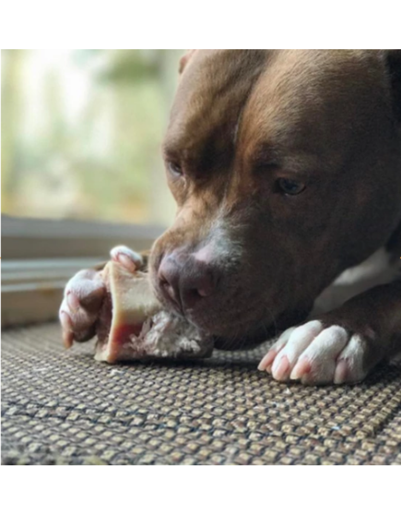 primal raw beef marrow bones