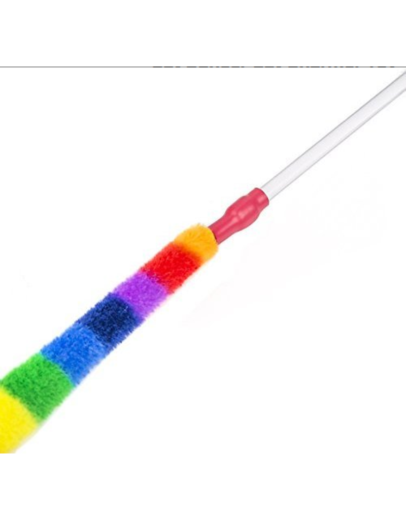 cat dancer rainbow cat charmer