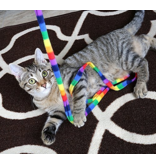 Cat Dancer Cat Dancer Cat Toys | Rainbow Charmer