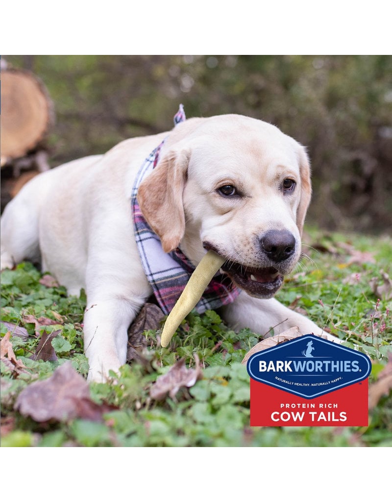 Barkworthies Barkworthies Dog Chew Cow Tails 6 oz