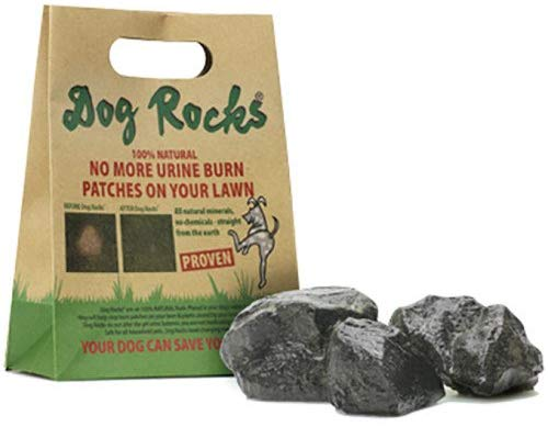 rocks for dogs water bowl