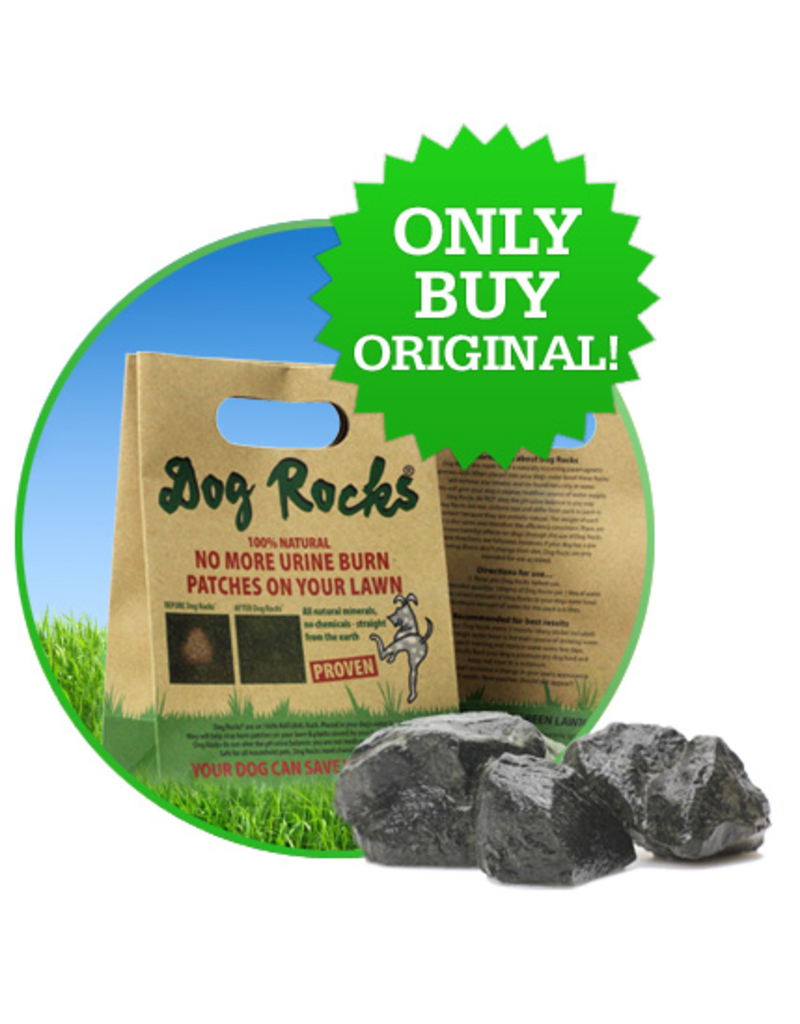 rocks for dogs water bowl