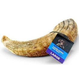 IcelandicPLUS DISC Icelandic+ Dog Treats Lamb Horn Large single