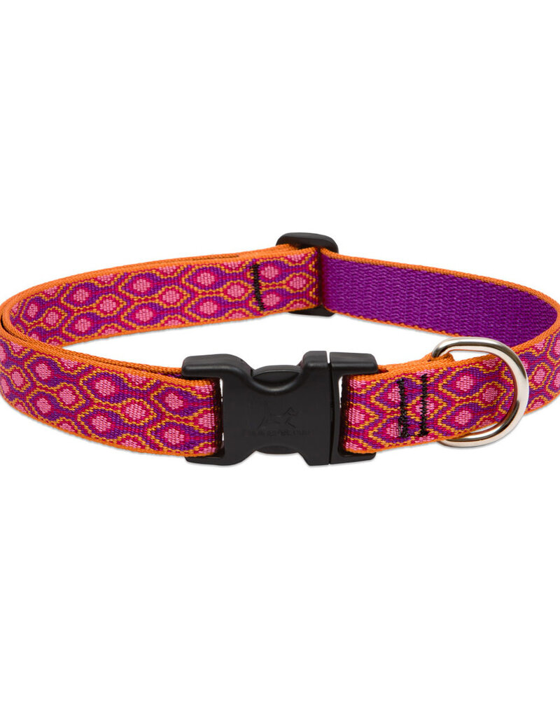 Lupine Lupine Originals 3/4" Dog Collar | Alpen Glow 15"-25"
