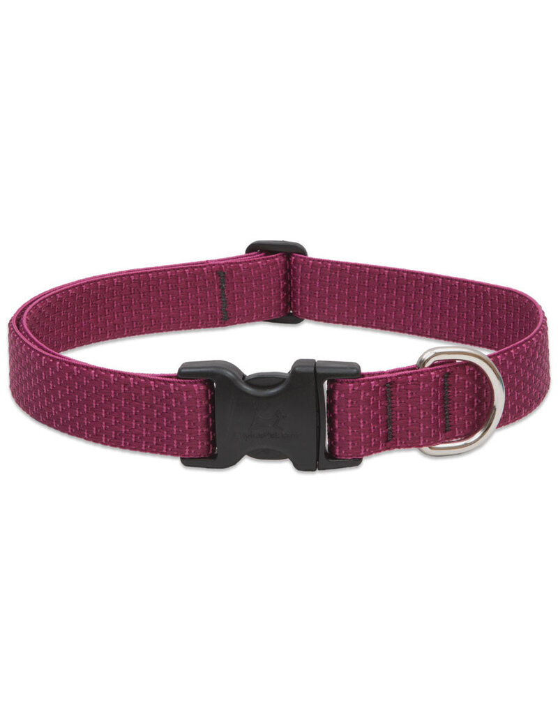 Lupine Lupine Eco 1/2" Dog Collar | Berry 10"-16"
