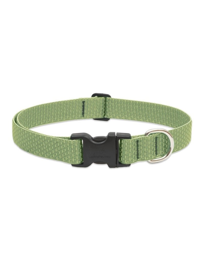 Lupine Lupine Eco 1/2" Dog Collar | Moss 10"-16"