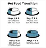 Koha Koha LID Premium Cat Food Pouch | Shredded Lamb 2.8 oz  CASE