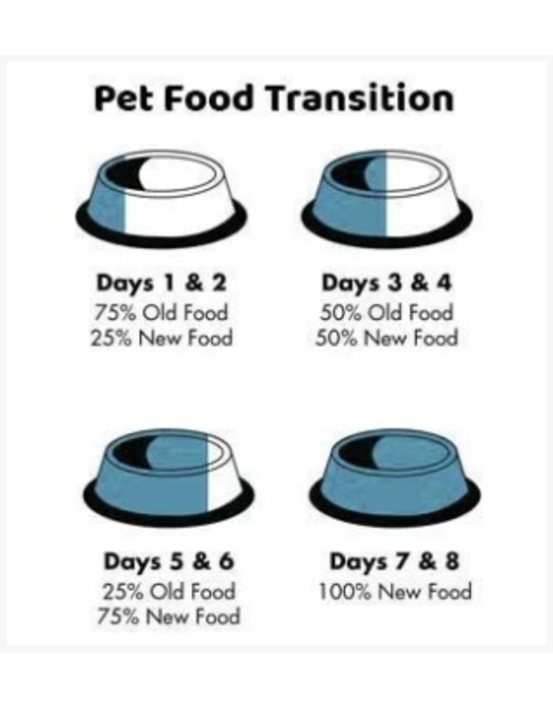 Koha Cat Food Rabbit Cat Meme Stock Pictures and Photos