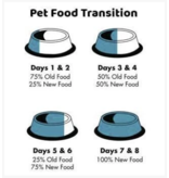 Koha Koha Canned Cat Food | Turkey Pate 3 oz CASE