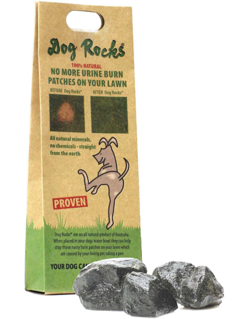 rocks for dogs water bowl