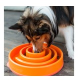 Outward Hound Outward Hound Fun Feeder Mini Swirl Teal