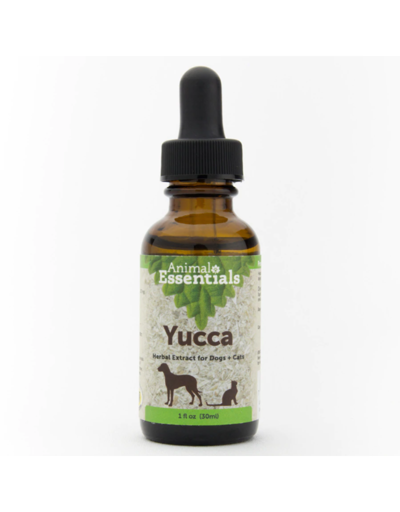 Animal Essentials Animal Essentials Supplements | Yucca 2 oz