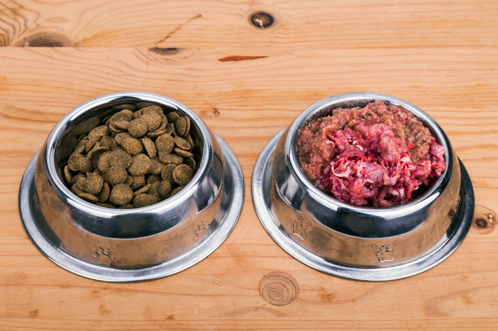 Case Study: My Experience with Raw Feeding. How Small Changes Can Help Your Cat or Dog Feel Healthier.
