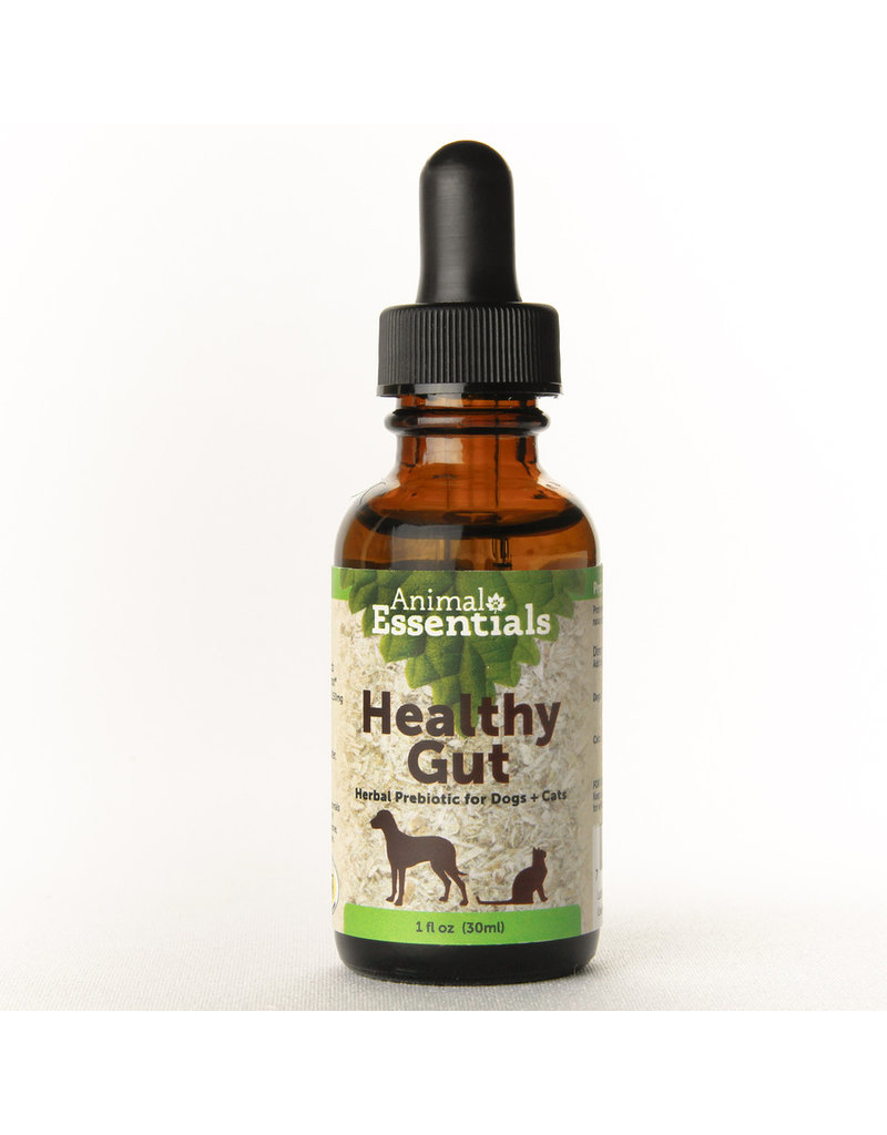 Animal Essentials Animal Essentials Supplements | Healthy Gut 2 oz