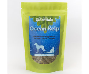 seadent for dogs