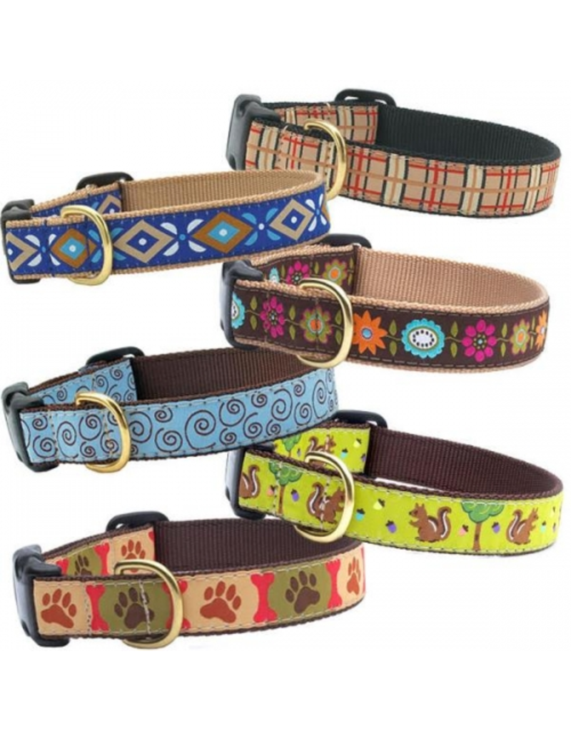 succulent dog collar