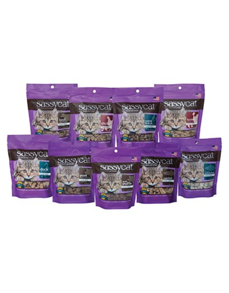 Herbsmith Herbsmith Sassy Cat Freeze Dried Cat Treats Salmon 0.88 oz