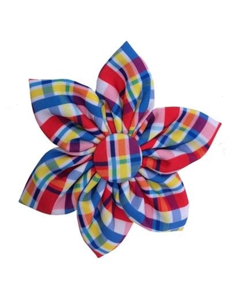 Huxley Kent Pinwheel Preppy Puppy Small The Pet Beastro The Pet Beastro