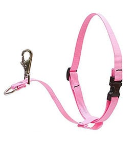 Lupine Lupine Basics No-Pull Harness 1" Pink 26"-38"