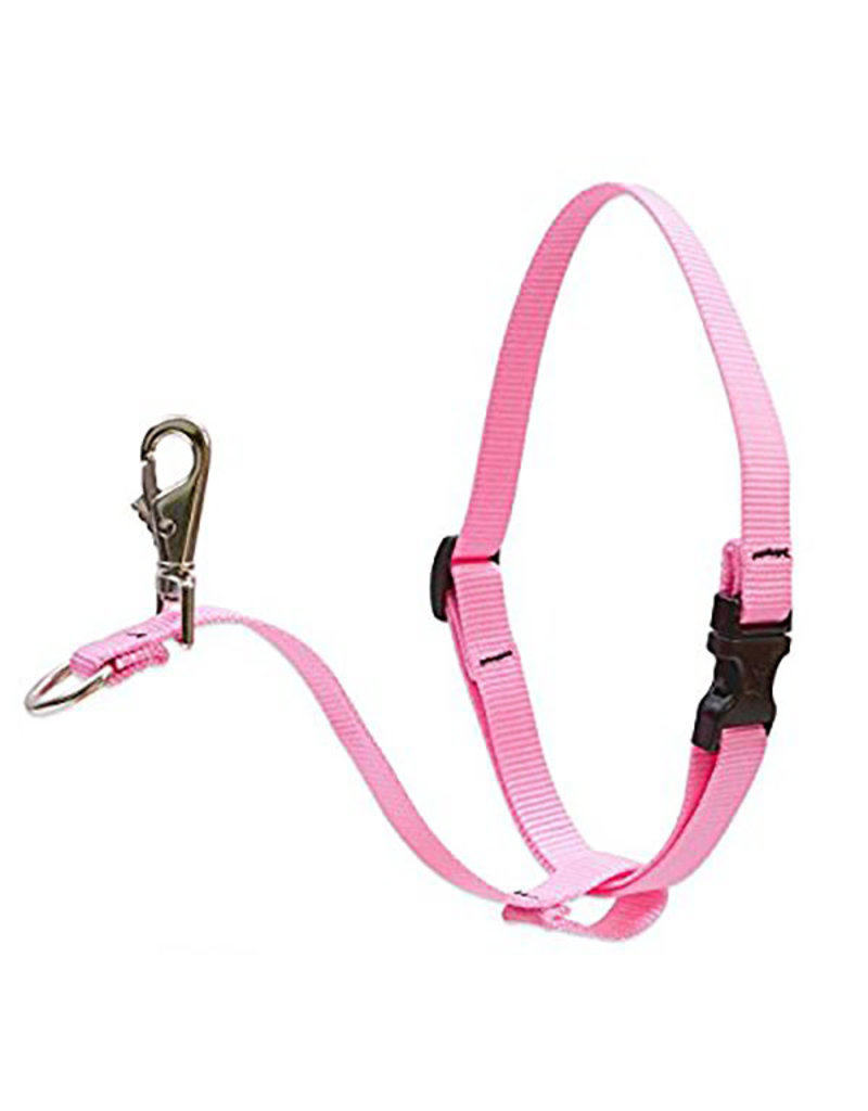 Lupine Lupine Basics No-Pull Harness 1" Pink 26"-38"
