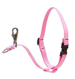 Lupine Lupine Basics No-Pull Harness 3/4" Pink 16"-26"