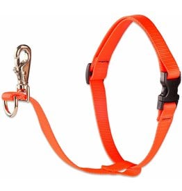 Lupine Lupine Basics No-Pull Harness 3/4" Blaze Orange 16"-26"