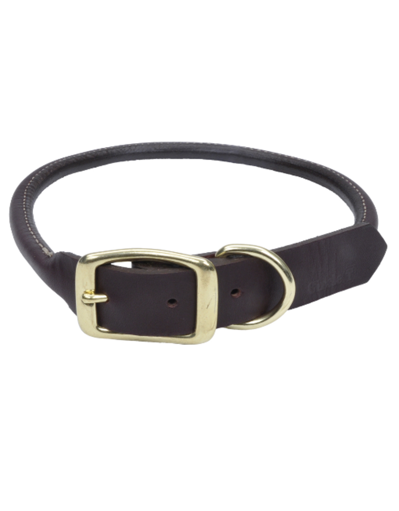 leather and brass dog collars