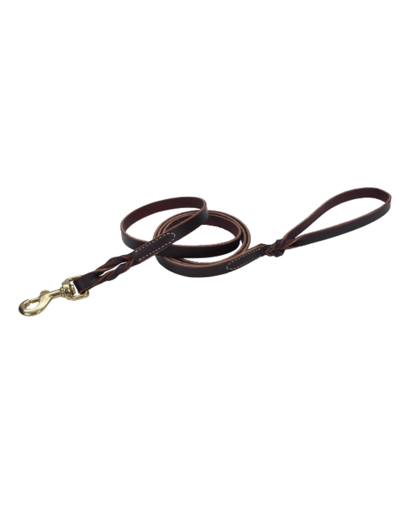 leather training lead