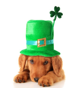 Happy St. Patrick's Day,! Come and Save Some Green with Us!